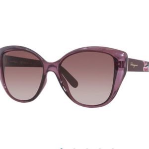 Salvatore Ferragamo Women’s Sunglasses